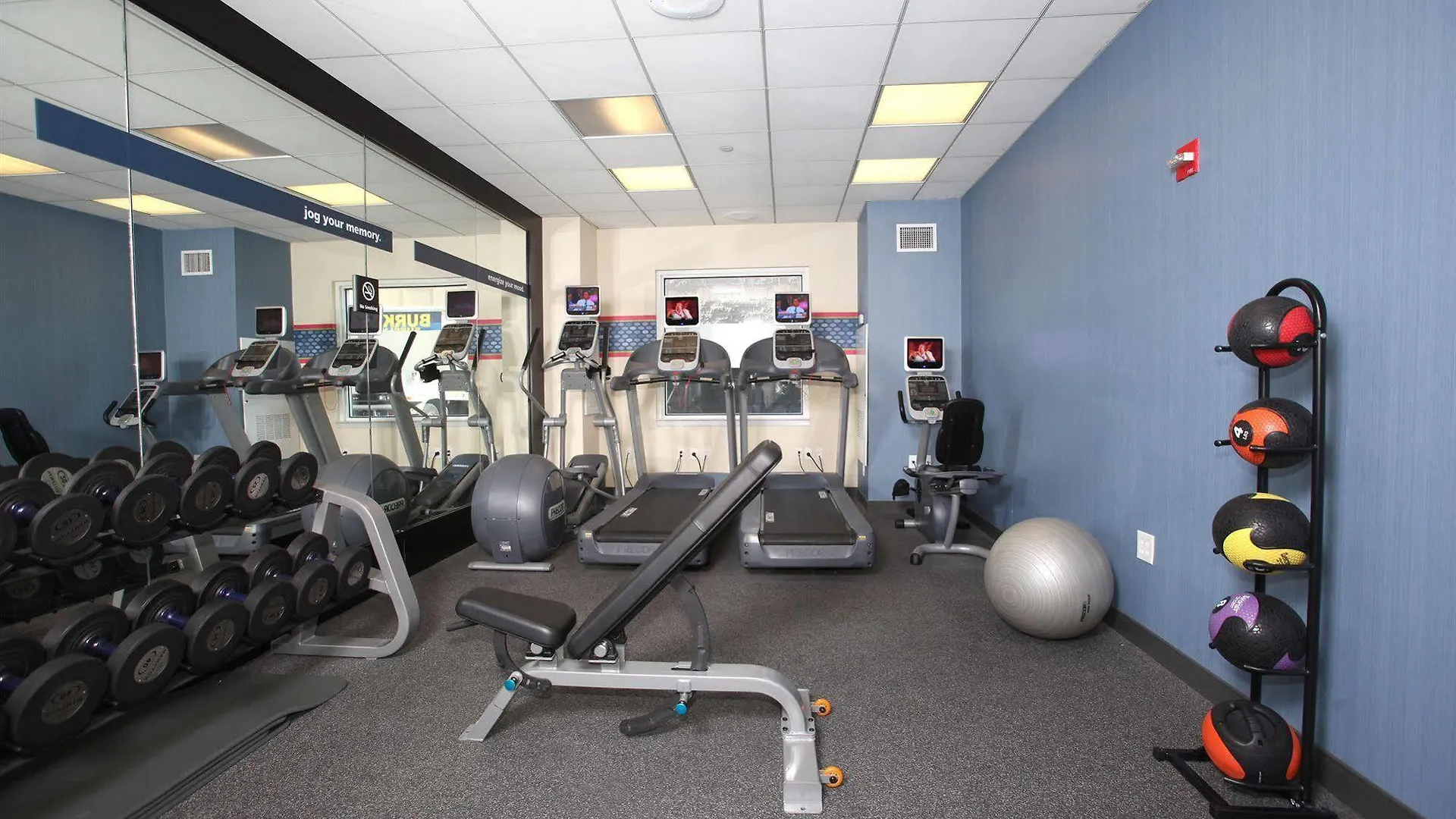 Hampton Inn Ny-Jfk New York 3*,  United States