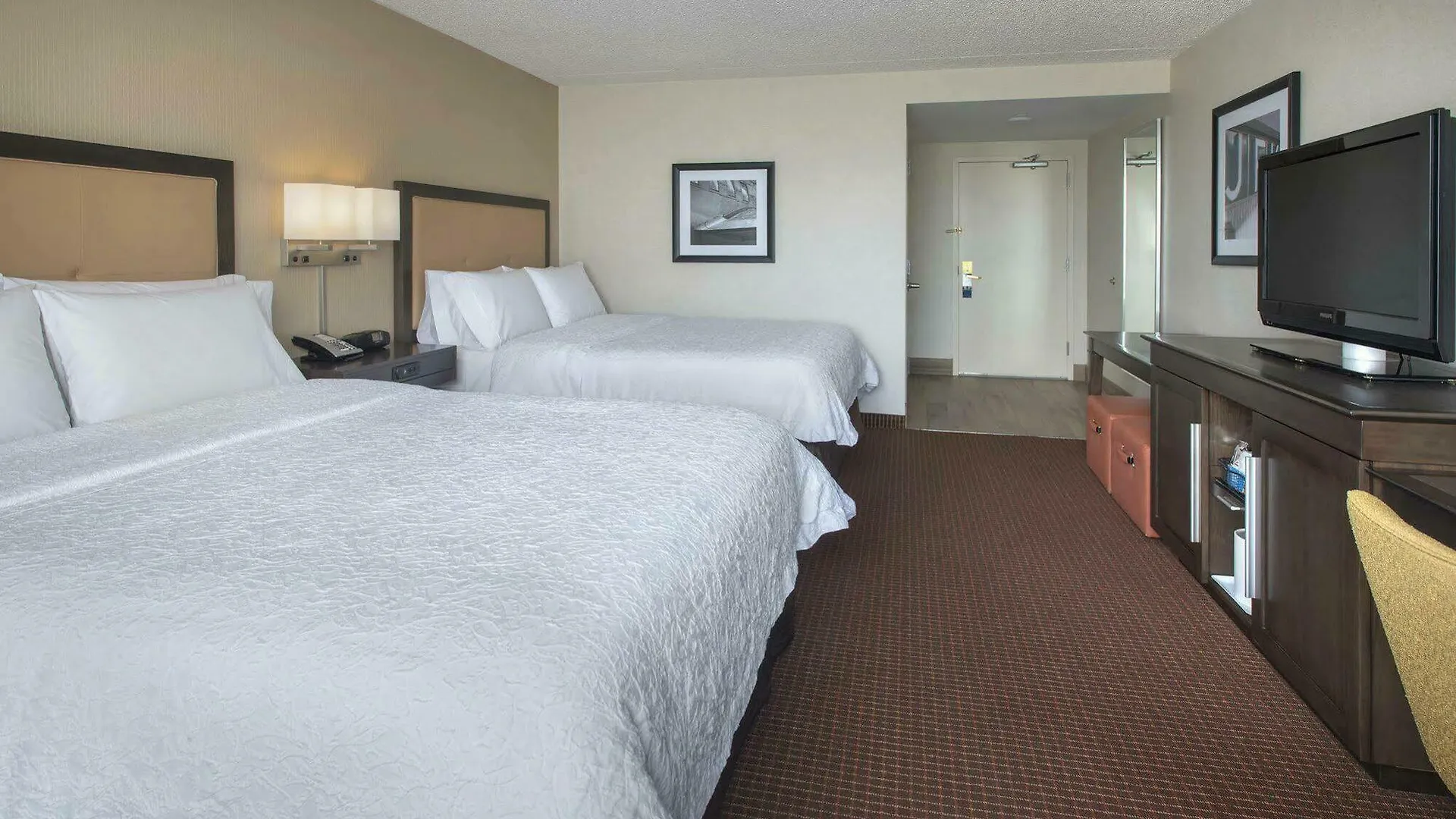 Hotel Hampton Inn Ny-Jfk New York